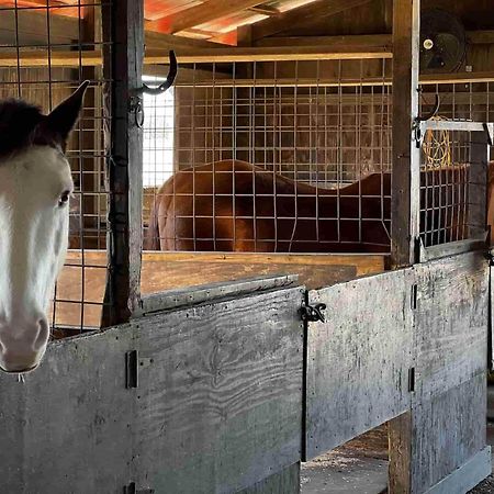 فندق Crc Ranch Retreat بانديرا المظهر الخارجي الصورة