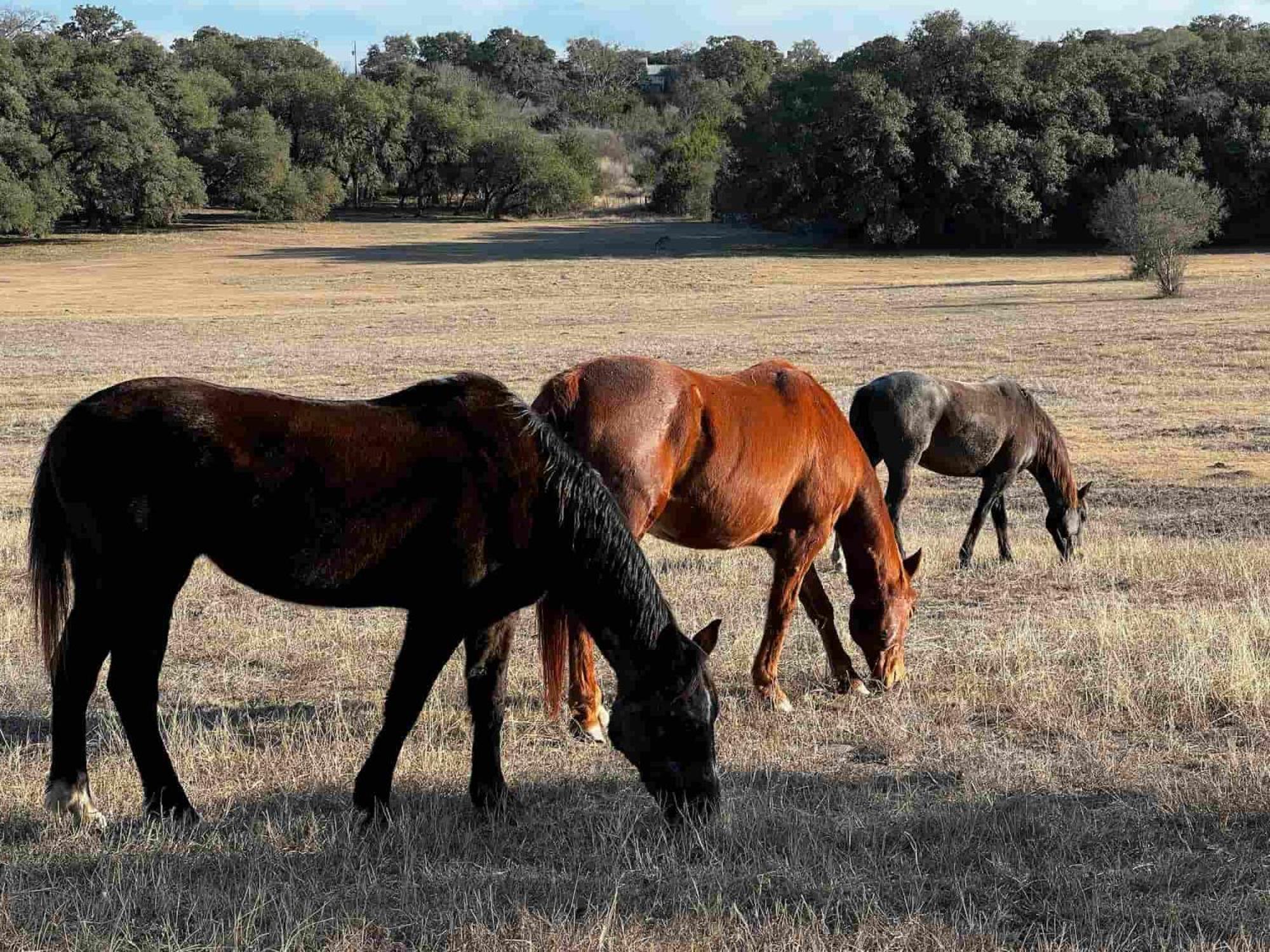 فندق Crc Ranch Retreat بانديرا المظهر الخارجي الصورة